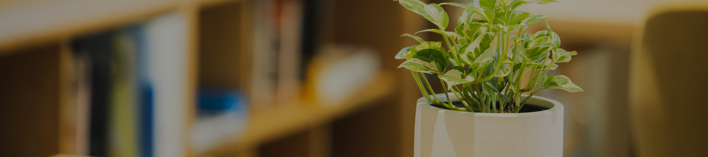 仲介業者様向け情報 ダウンロード