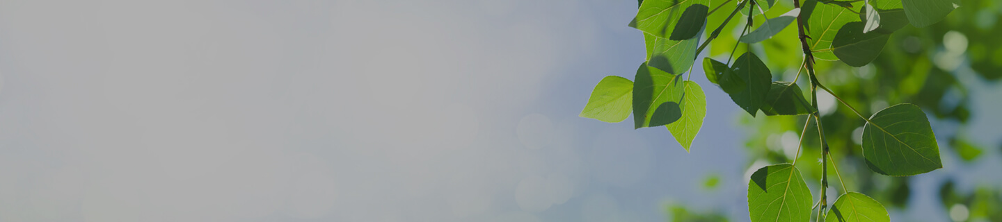 新年のご挨拶と年始営業のお知らせ