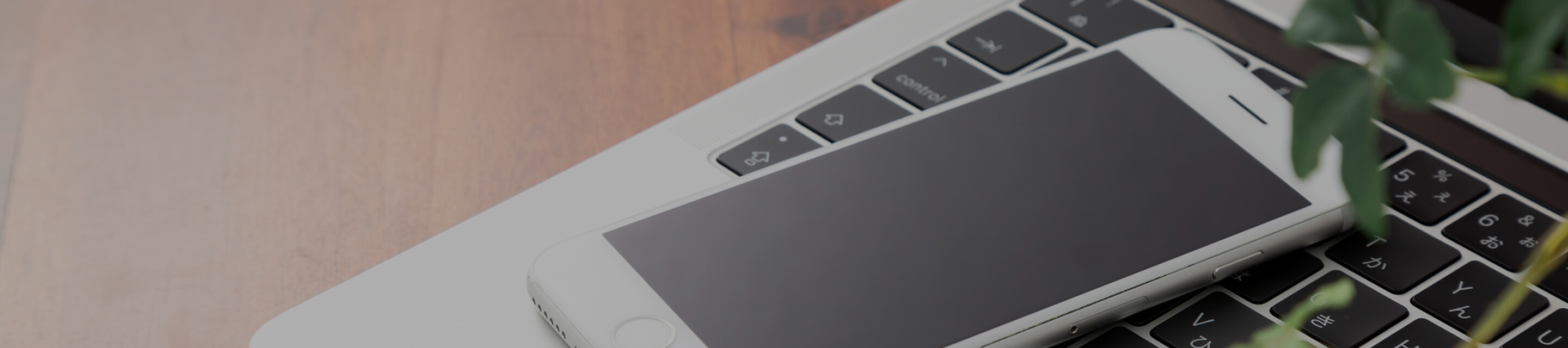 個人情報の取扱